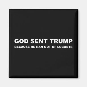God Sent Trump Because He Ran Out Of Locusts Magnet