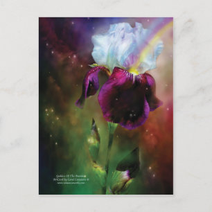 Goddess Of The Rainbow Art Postcard