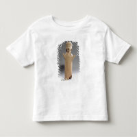 Goddess or worshipper with raised arms, figurine,