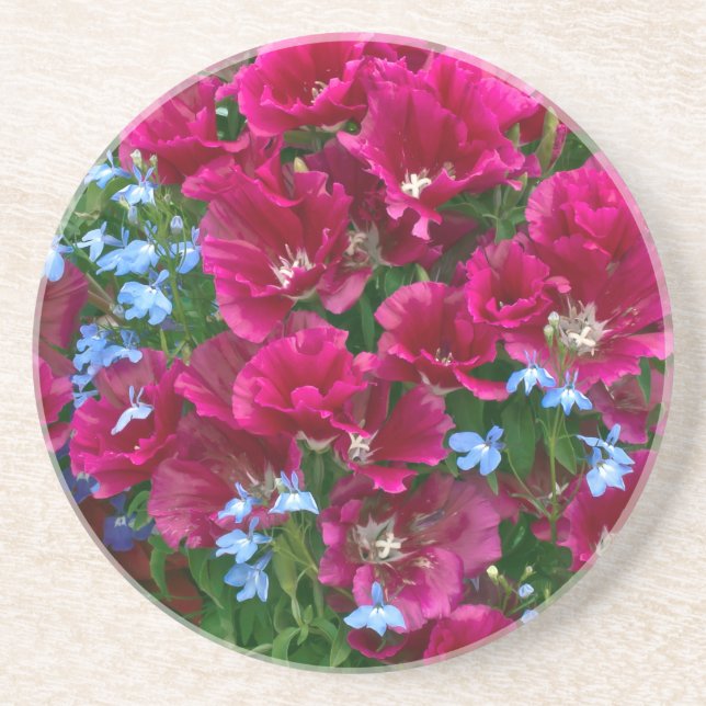 Godetia And Lobelia Coaster (Front)