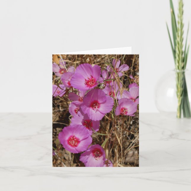 Godetia Note Card (Front)