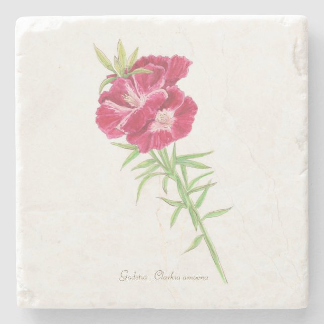 Godetia  stone coaster (Front)