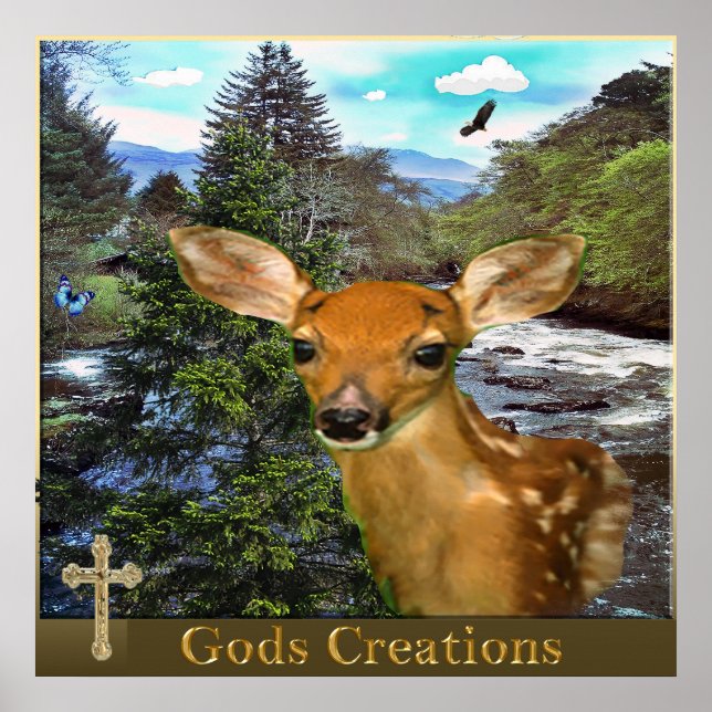 Gods creations poster (Front)