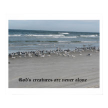 God's Creatures Are Never Alone 24" x 20" Poster