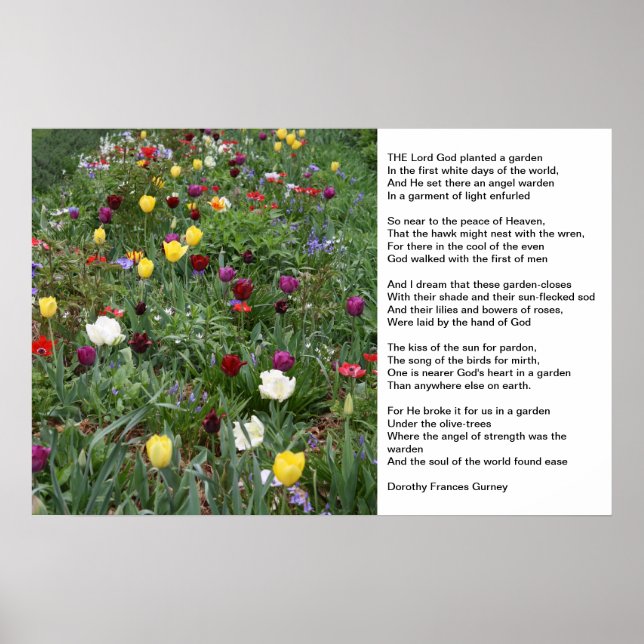 God's Garden Poster (Front)