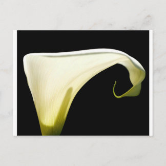 Gods Glory Postcard