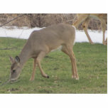 Gods Hands Standing Photo Sculpture<br><div class="desc">A Deer feeding on grass</div>