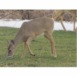 Gods Hands Standing Photo Sculpture