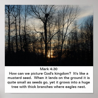 God's Kingdom Nest Poster