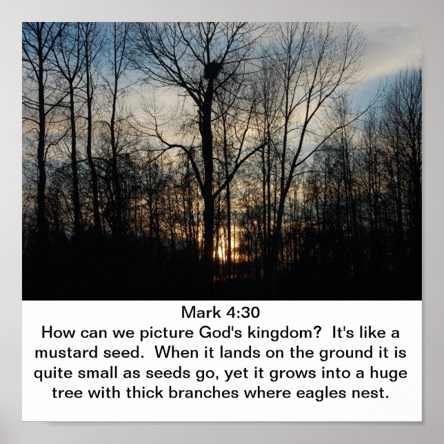 God's Kingdom Nest Poster (Front)