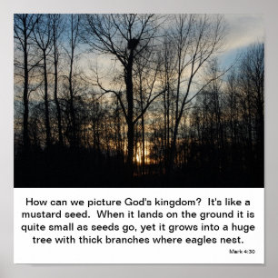 God's Kingdom Nest Poster