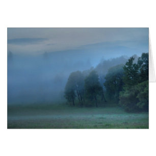 God's Pasture, Misty Forest & Field Nature Scene 2