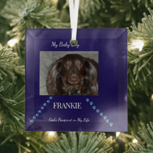 God's Pawprint Keepsake Glass Tree Decoration