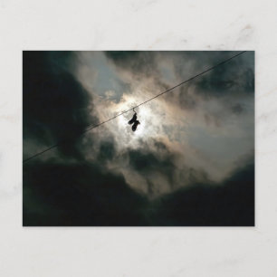 God's Sneakers   Postcard