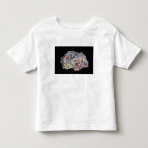 Goethite Showing Iridescence Toddler T-Shirt