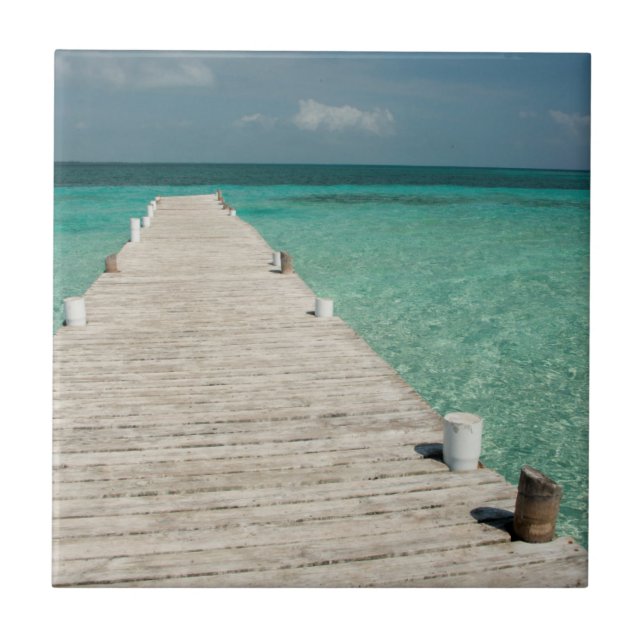 Goff Caye, a popular Barrier Reef Island Tile (Front)