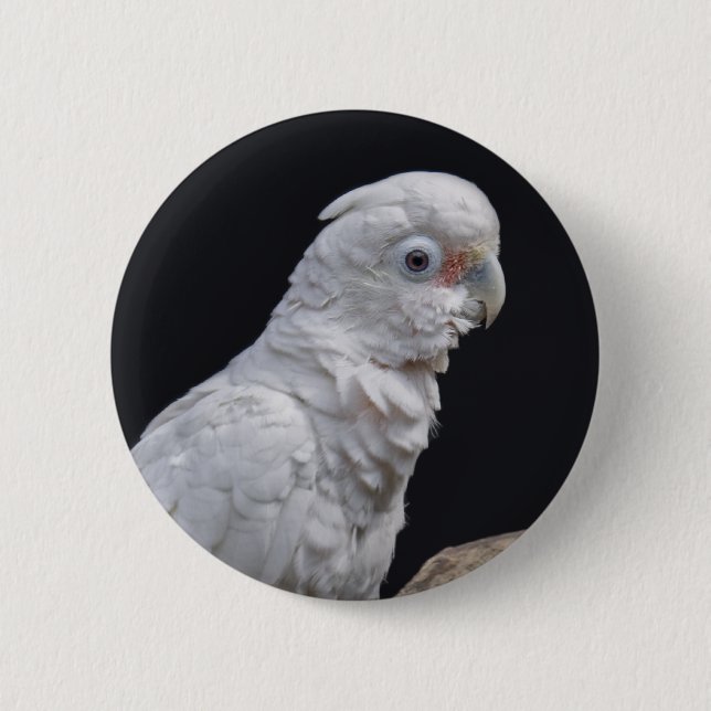 Goffin's Cockatoo Badge (Front)