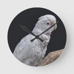 Goffin's Cockatoo Clock
