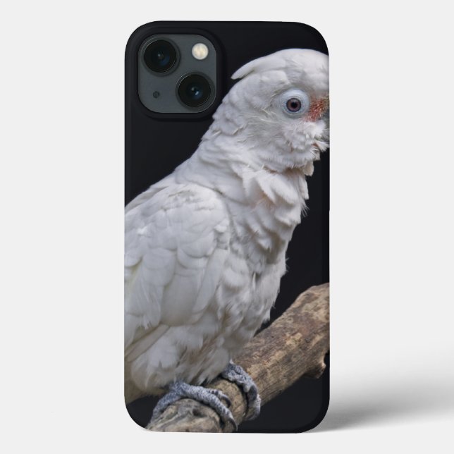 Goffin's Cockatoo  iPad Case (Back)