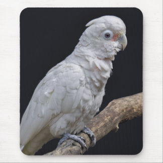 Goffin's Cockatoo Mousemat