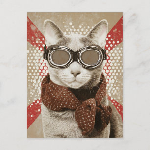Goggle-Wearing Cat Scarf Retro Flag Portrait Postcard