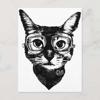 Goggles Cat Postcard