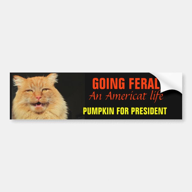 Going Feral - An Americat Life 2020 Bumper Sticker (Front)