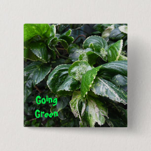 Going Green house plants 15 Cm Square Badge