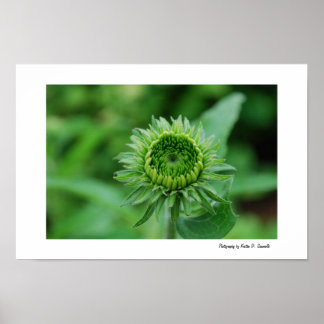 Going Green Poster