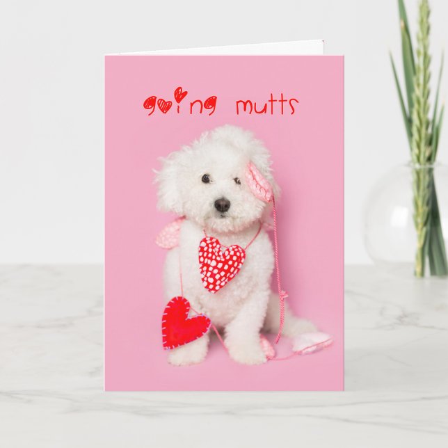 Going Mutts white puppy valentine Holiday Card (Front)