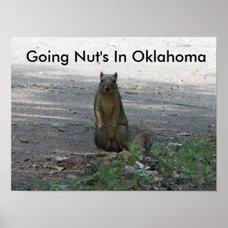 Going Nut's In Oklahoma Poster
