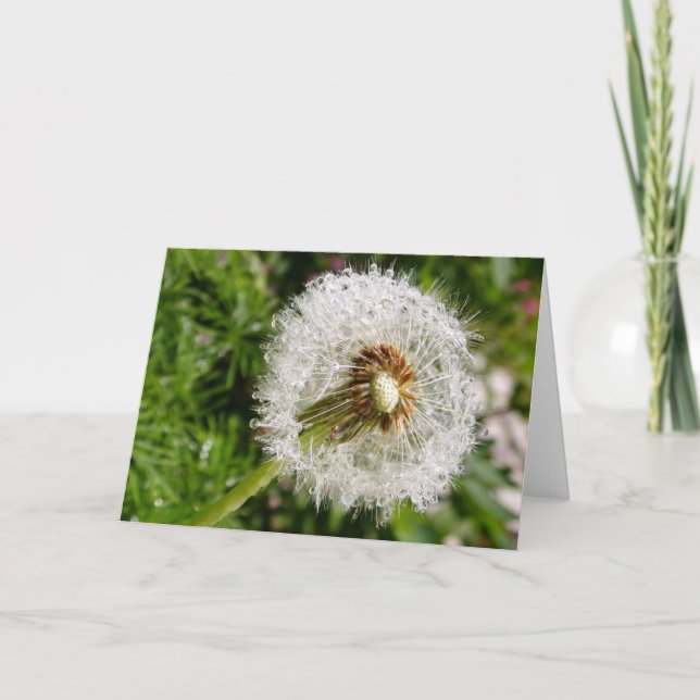 Going to Seed Card (Front)