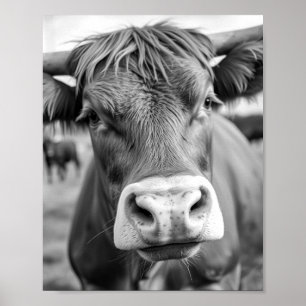 Going to the Ranch Cow Black and White Poster