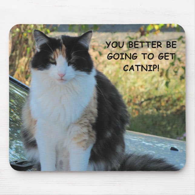 Going to the Store? Funny Cat Meme Mouse Mat (Front)