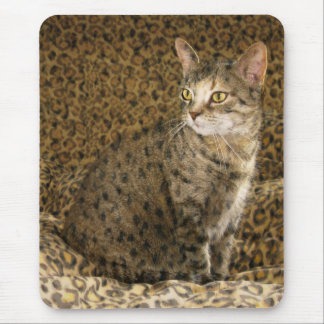 Going Wild ;-) Mouse Mat