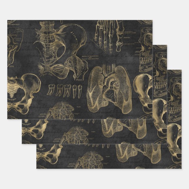 Gold Anatomy Drawings on Black Wrapping Paper Sheet (Set)
