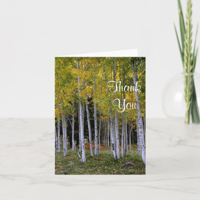 Gold and green Aspens thank you (Front)