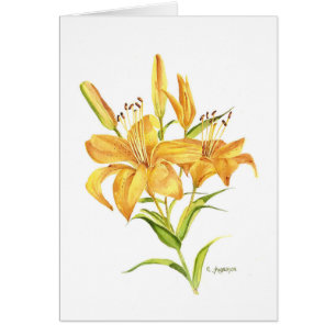 Gold and orange tigerlily watercolor