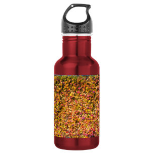 Gold autumn colours ivy wall 532 ml water bottle