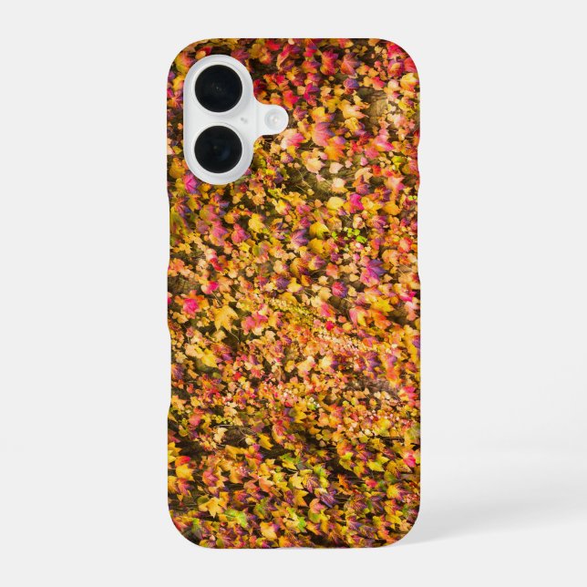 Gold autumn colours ivy wall iPhone 16 case (Back)