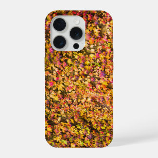 Gold autumn colours ivy wall iPhone 15 pro case