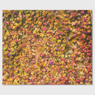 Gold autumn colours ivy wall wrapping paper