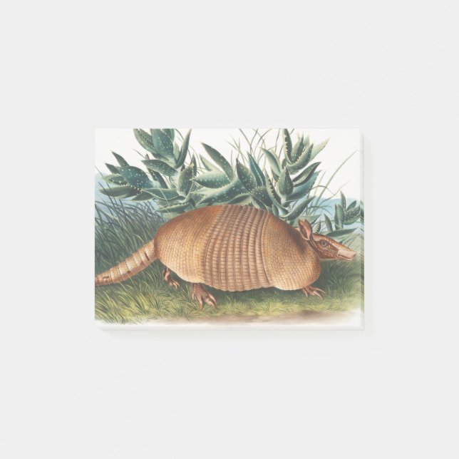 Gold Beige Nine-banded Armadillo Post-it Notes (Front)