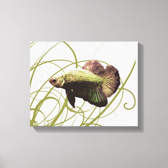 Gold Betta Fighting Fish Canvas Print (Front)