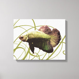 Gold Betta Fighting Fish Canvas Print