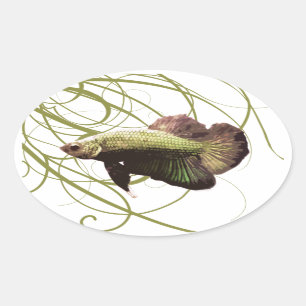 Gold Betta Siamese Fighting Fish Oval Sticker