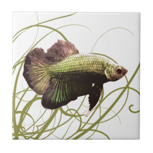 Gold Betta Siamese Fighting Fish Tile
