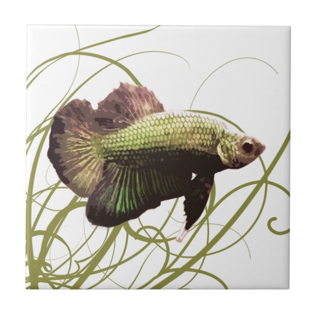 Gold Betta Siamese Fighting Fish Tile (Front)