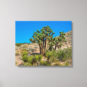 Gold Butte National Monument Canvas Print