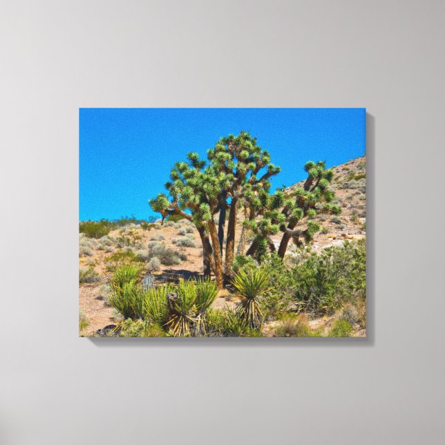 Gold Butte National Monument Canvas Print (Front)